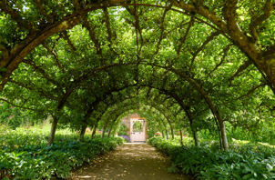 The Walled Garden Trained Apple Arch. GAP 0979913